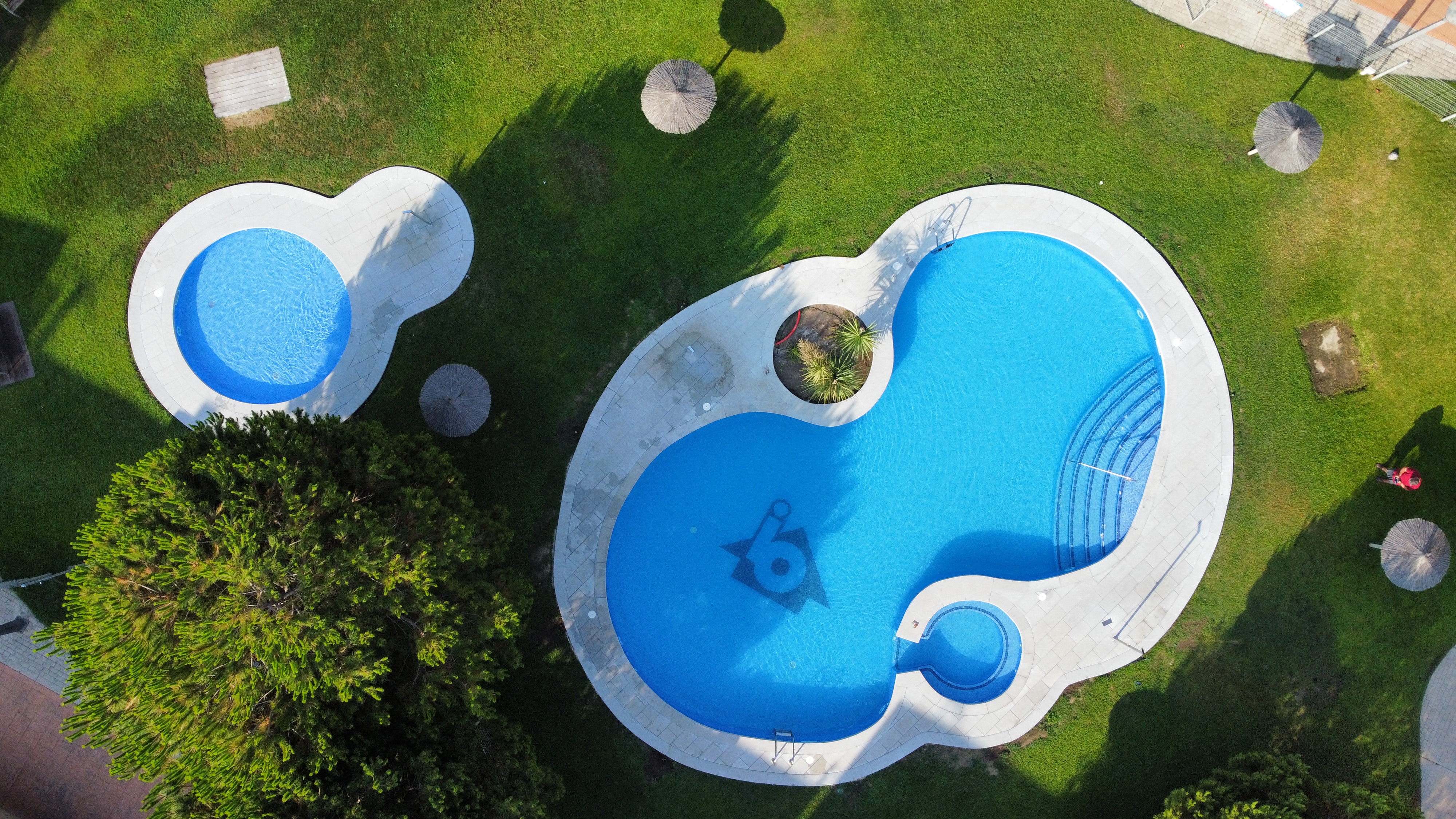 Coronación piscina curva